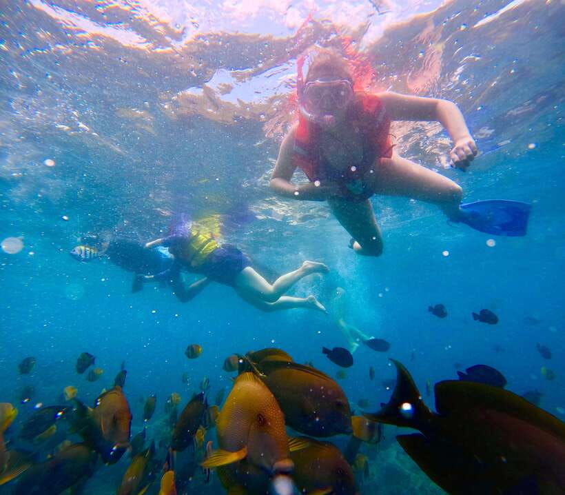 From Bali: Nusa Penida Full Day Tour and Snorkeling 3 Spots - Broken Beach and Angel’s Billabong