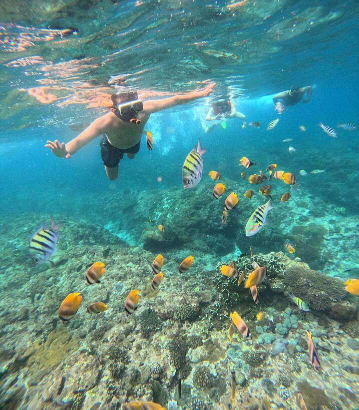 From Bali: Nusa Penida Full Day Tour and Snorkeling 3 Spots - The practical value of the guides
