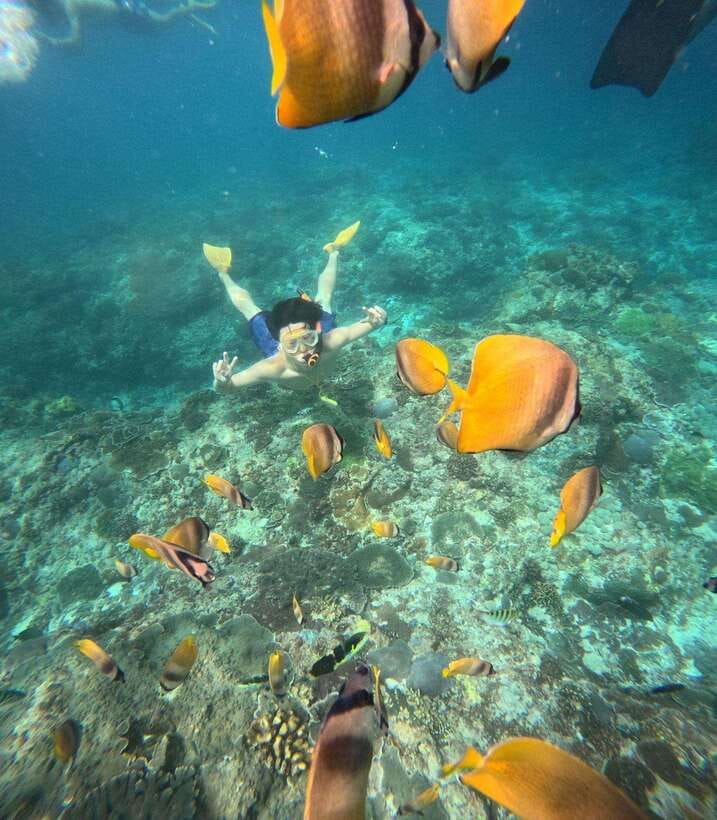 From Bali: Nusa Penida Full Day Tour and Snorkeling 3 Spots - Lunch, equipment, and what is covered