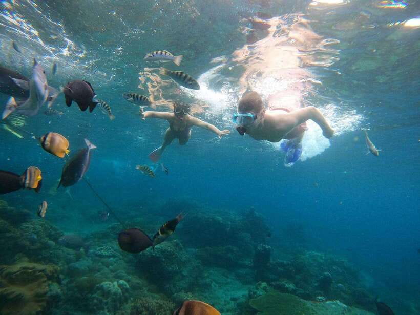 From Bali: Nusa Penida Full Day Tour and Snorkeling 3 Spots - Who should book this experience?
