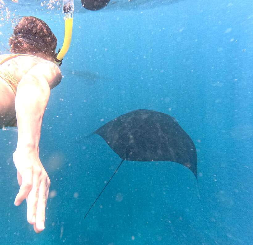 From Bali: Nusa Penida Full Day Tour and Snorkeling 3 Spots - Kelingking Beach and the famous cliff view