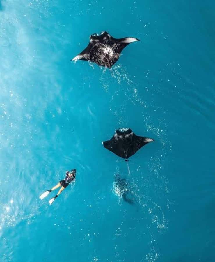 From Bali: Nusa Penida Private Snorkeling and Land Tour - Key Points at a Glance