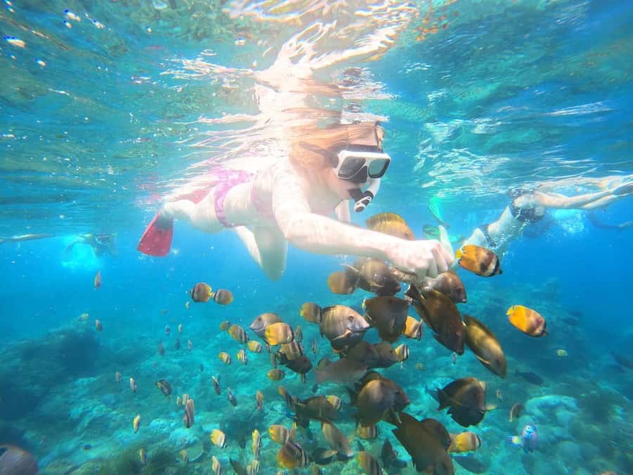 From Bali: Nusa Penida Private Snorkeling and Land Tour - Snorkeling at Manta Bay, Crystal Bay, and Gamat Bay