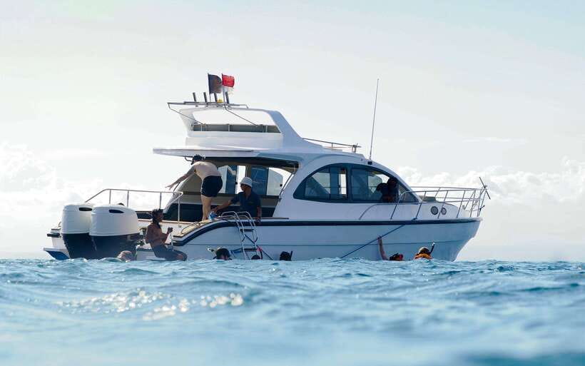 From Bali: Nusa Penida Private Snorkeling Tour with Lunch - Who should book this experience?