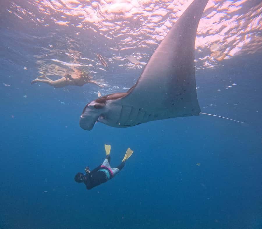 From Bali: Nusa Penida Snorkel 3 Spots w/ GoPro & Kayak tour - Crystal Bay and Gamat Bay offer more dependable snorkeling