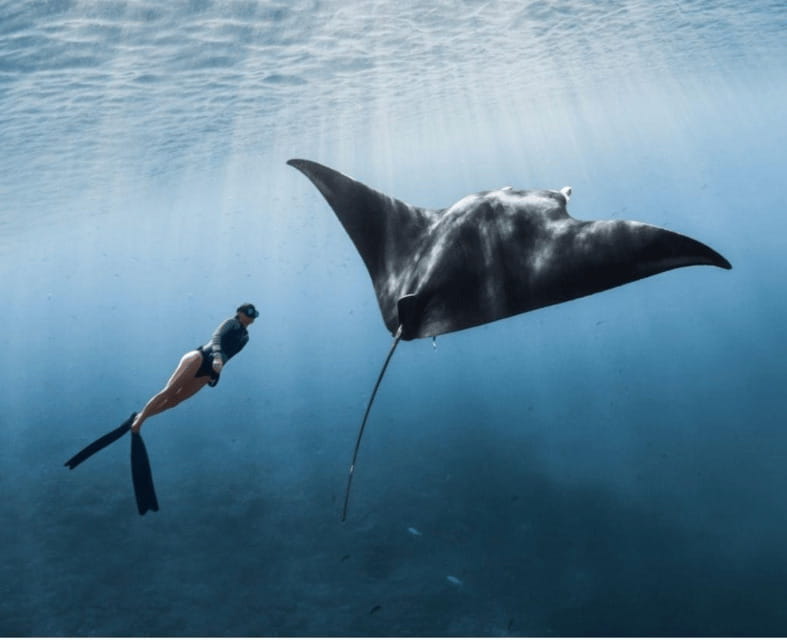 From Bali: Nusa Penida Snorkeling and West Coast Tour - Lunch and the move to the west coast