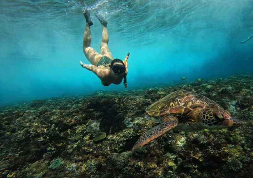 From Bali: Nusa Penida Snorkeling and West Coast Tour - Broken Beach and Pasih Uug