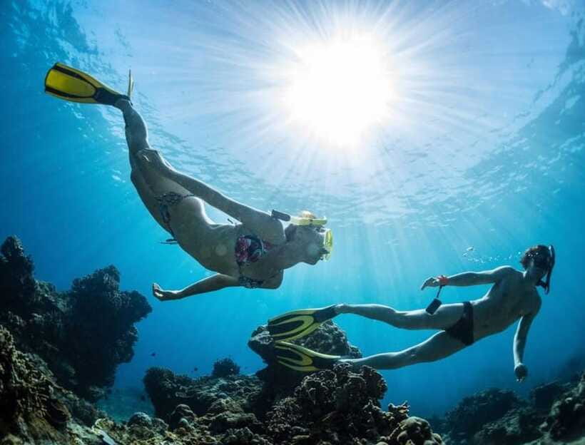From Bali: Nusa Penida Snorkeling and West Coast Tour - Kelingking Beach and the famous T-Rex profile
