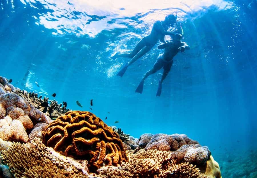 From Bali: Reef Cruise Day Trip to Nusa Lembongan - From Benoa Harbour to Lembongan Bay