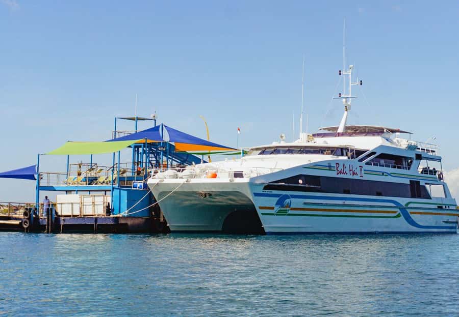 From Bali: Reef Cruise Day Trip to Nusa Lembongan - Seeing the reef without getting fully wet