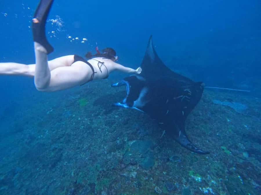 From Bali: Snorkeling 3 Spots To Nusa Penida & Lembongan - Two hours around Nusa Penida