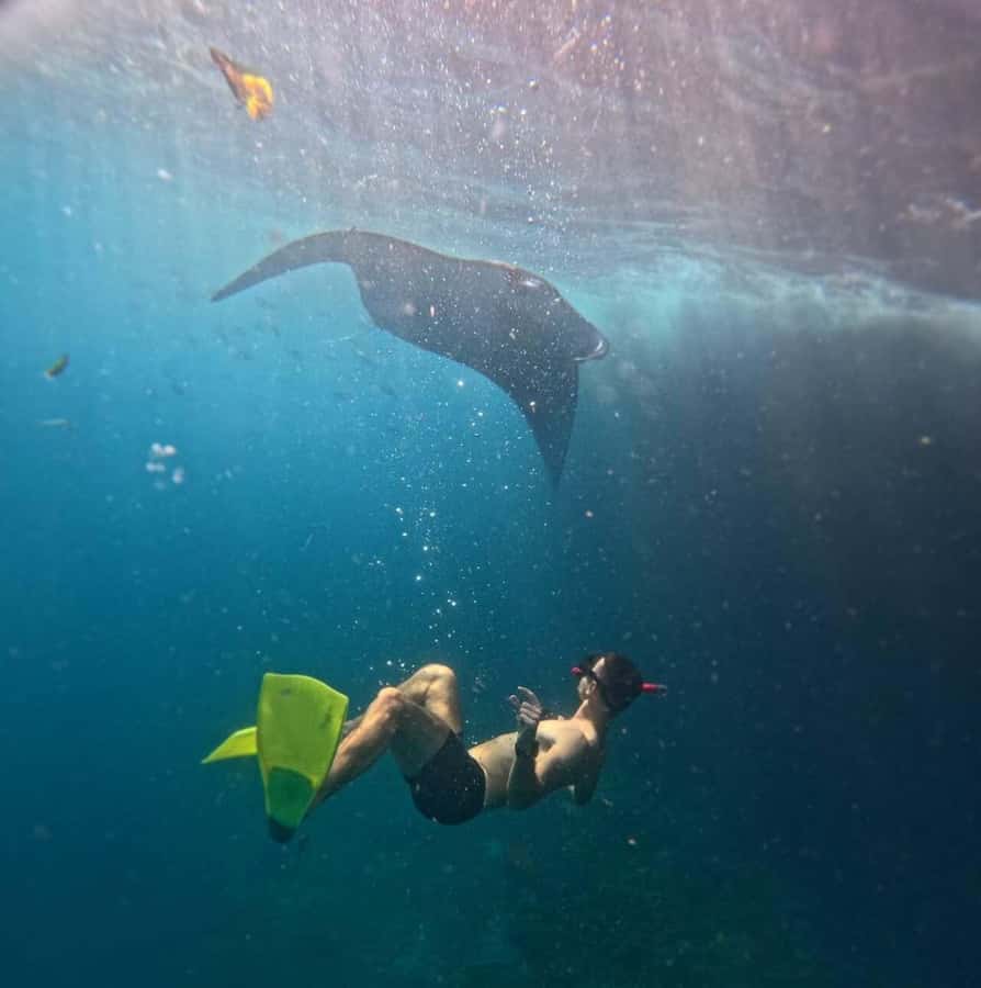 From Bali: Snorkeling 3 Spots with GoPro & West Penida Tour - What this $38 Nusa Penida day includes