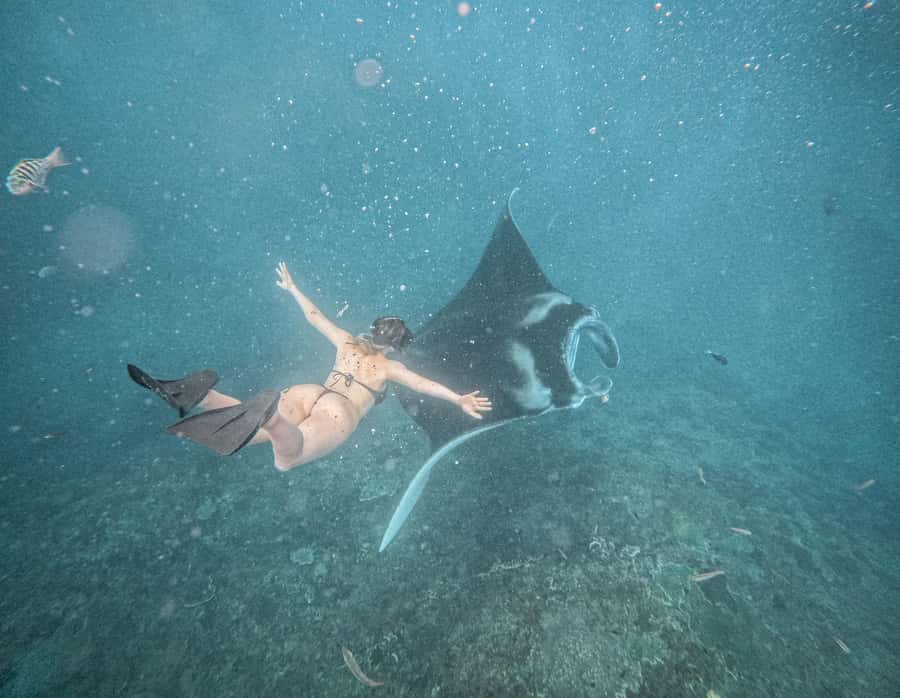From Bali: Snorkeling 3 Spots with GoPro & West Penida Tour - The optional West Penida drive