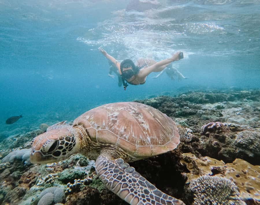 From Bali: Snorkeling at Manta Point Nusa Penida & Land Tour - The crossing from Sanur is part of the adventure