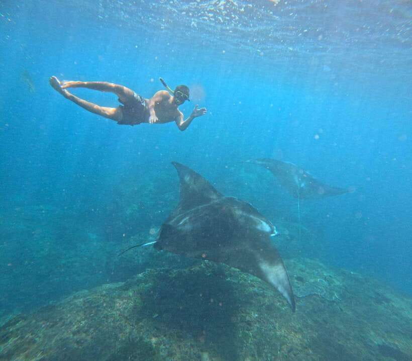 From Bali : Snorkeling & Nusa Penida Island Tour with Lunch - Snorkeling at Manta Bay