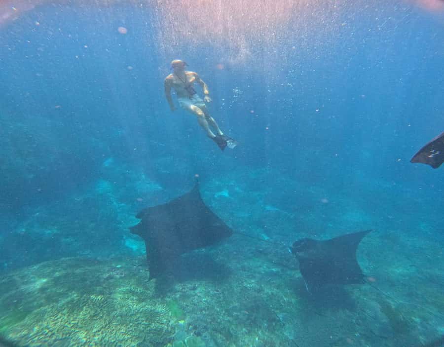From Ceningan: Snorkeling with Manta Rays at Manta Point - Meeting Ketut Mandir near the Yellow Bridge