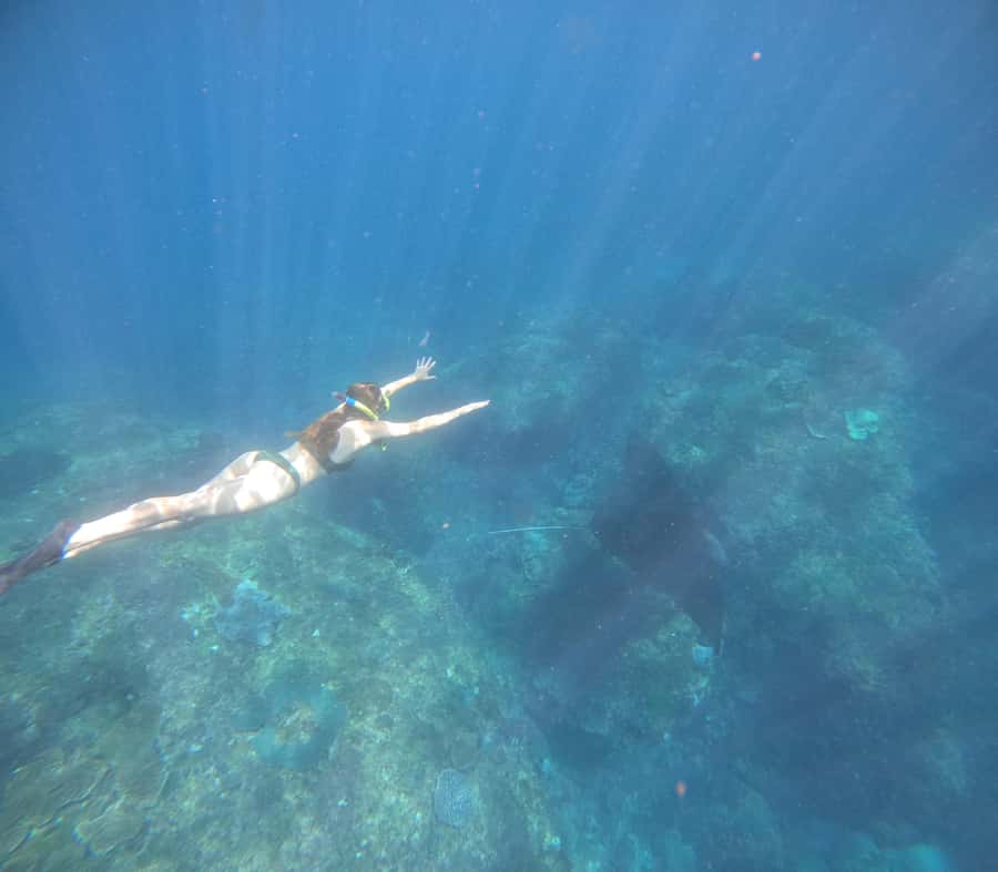 From Ceningan: Snorkeling with Manta Rays at Manta Point - Coral, turtles, and fish at Gamat Bay