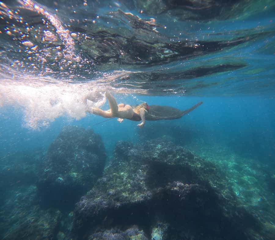 From Ceningan: Snorkeling with Manta Rays at Manta Point - Marine conservation is part of the experience