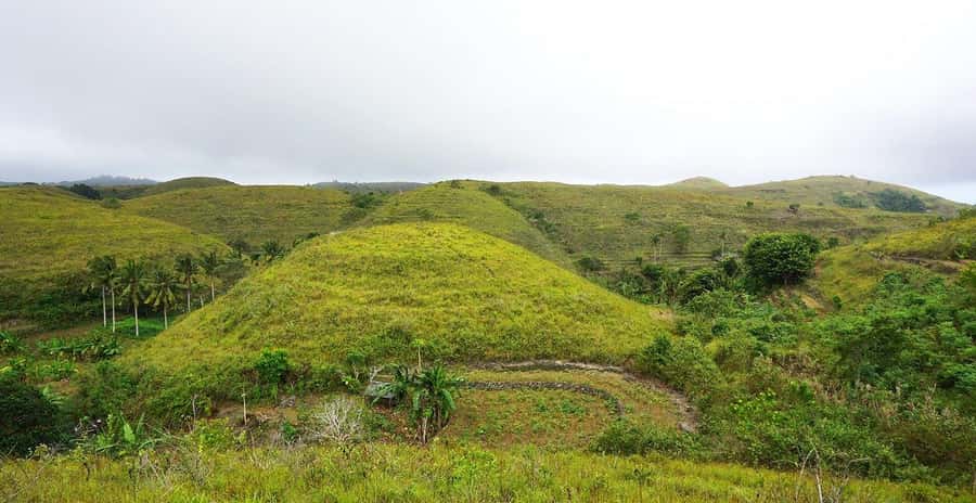 From Lembongan: Full-Day Private Tour East Nusa Penida - Timing, walking, and what to pack