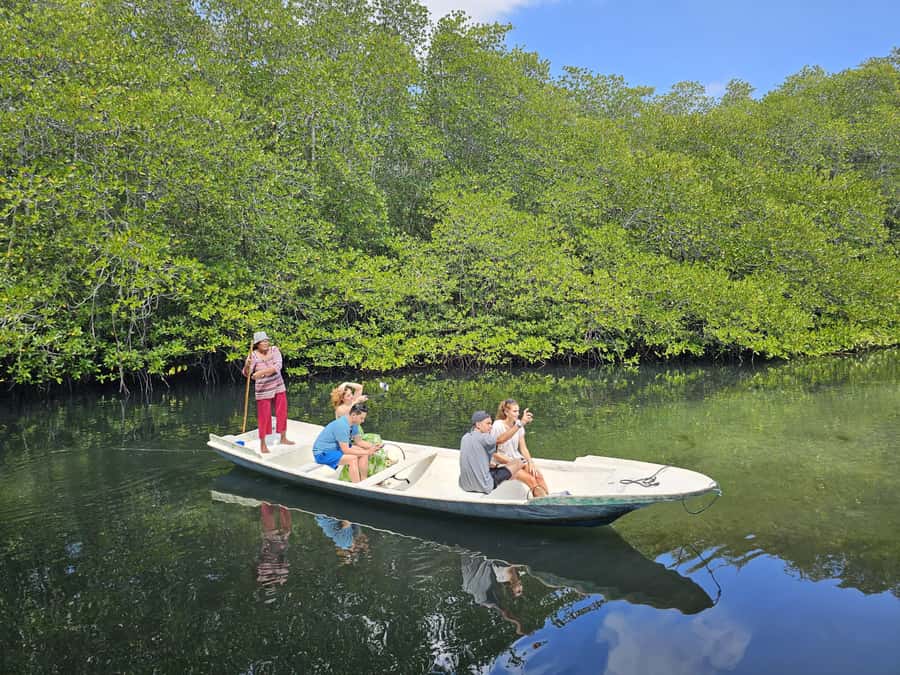 From Lembongan: Kayak/Paddleboard/Boat Mangrove Tour - Clear kayaks and boats: best over coral and starfish