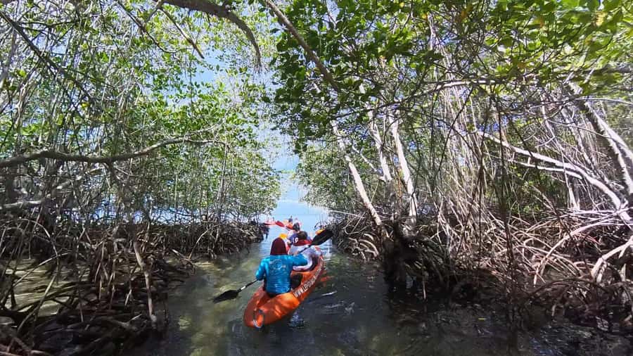 From Lembongan: Kayak/Paddleboard/Boat Mangrove Tour - Out to the sea near Mangrove Point