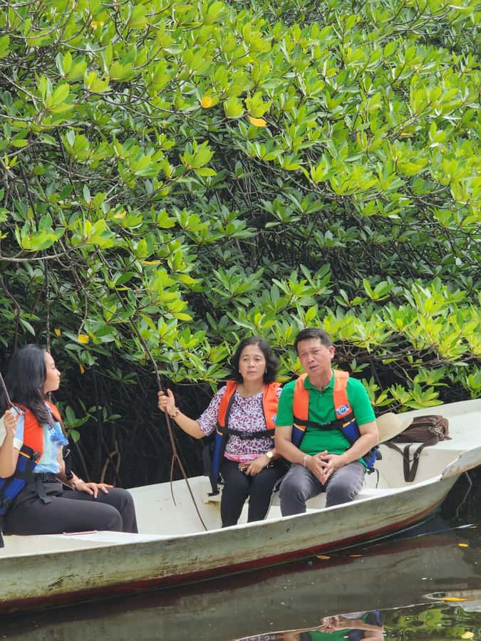 From Lembongan: Kayak/Paddleboard/Boat Mangrove Tour - The guide can make a simple outing memorable