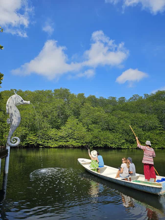 From Lembongan: Kayak/Paddleboard/Boat Mangrove Tour - What the $10 price really gives you