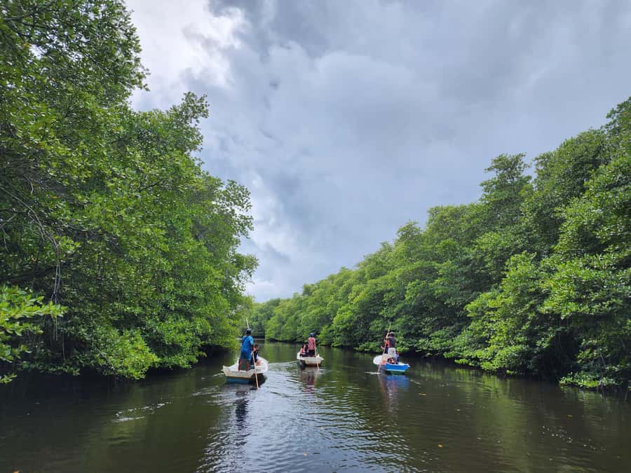 From Lembongan: Kayak/Paddleboard/Boat Mangrove Tour - Timing, clothing, and comfort