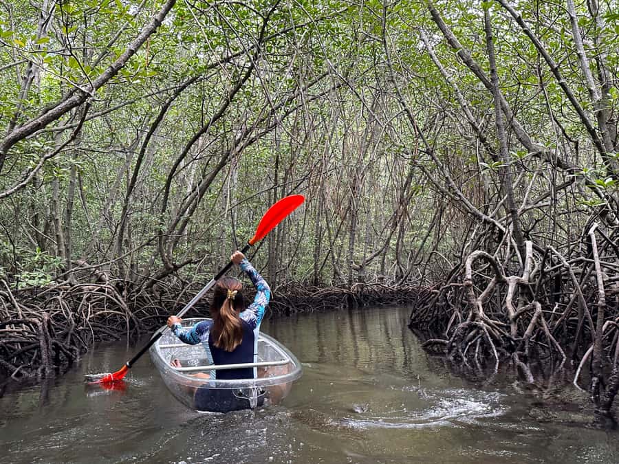 From Lembongan: Kayak/Paddleboard/Boat Mangrove Tour - From main street pickup to Mangrove Point