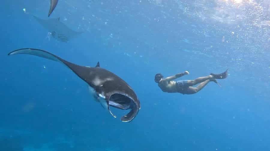 From Lembongan: Nusa Penida Private Snorkeling Tour - Why a private boat changes the Nusa Penida experience