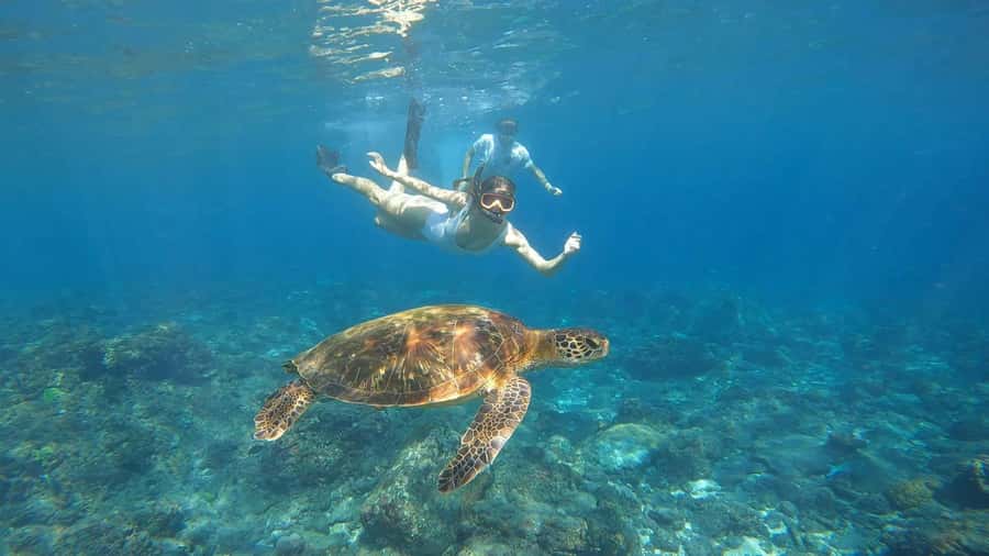 From Lembongan: Nusa Penida Private Snorkeling Tour - How this compares with a shared snorkeling trip