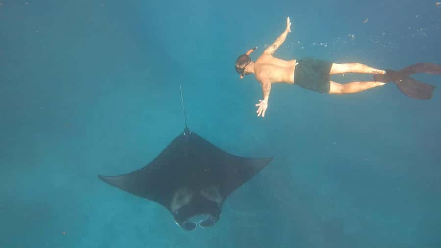 From Lembongan: Nusa Penida Private Snorkeling Tour - Should you book the Nusa Penida snorkeling tour?