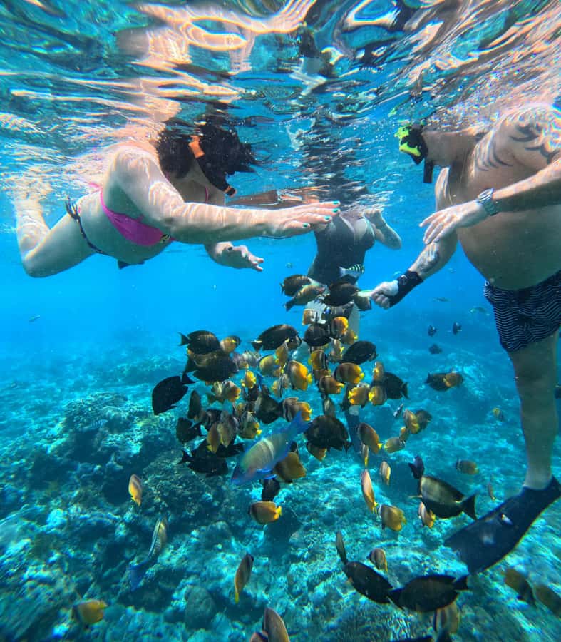 From Lembongan: Nusa Penida Private Snorkeling & West Tour - Who should book this Nusa Penida day trip?
