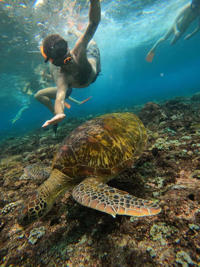 From Lembongan: Nusa Penida Private Snorkeling & West Tour - Lunch before the west-coast viewpoints