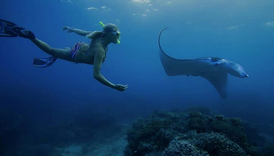 From Lembongan: Nusa Penida Private Snorkeling & West Tour - Kelingking Beach and the famous cliff view