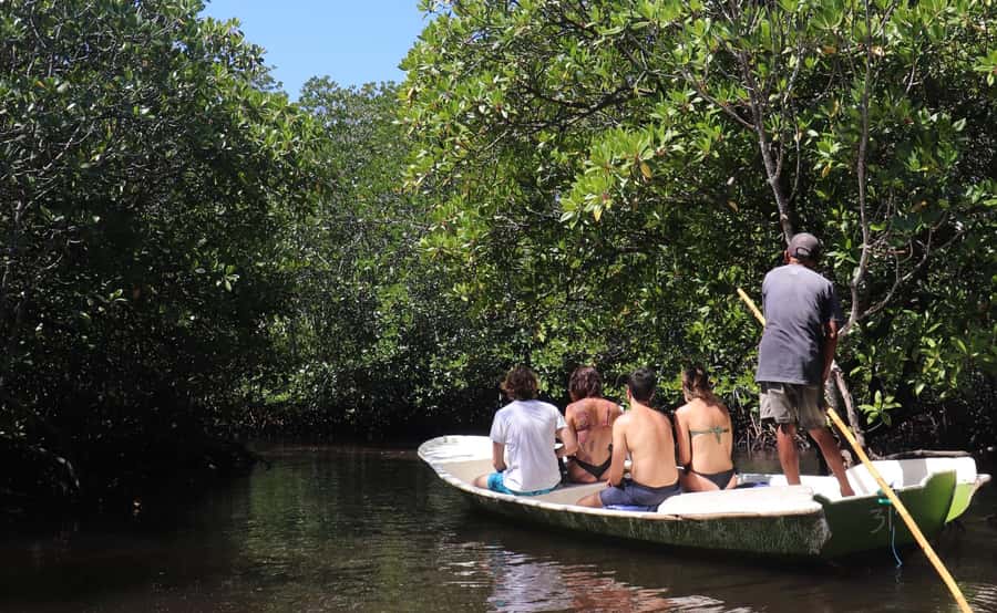 From Lembongan: Snorkeling 3 Spots, Mangrove and Land Tour - Manta Bay sets the tone