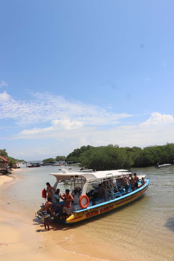 From Lembongan: Snorkeling 3 Spots, Mangrove and Land Tour - Underwater photos are a useful extra
