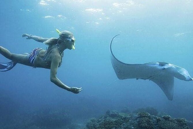 From Lembongan: Snorkeling Day Trip to Nusa Lembongan & nusa Penida island - Key points at a glance