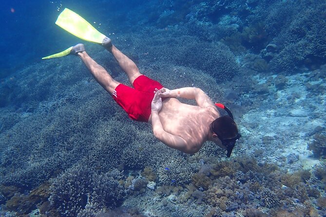 From Lembongan: Snorkeling Day Trip to Nusa Lembongan & nusa Penida island - Jungut Batu pickup and the first swim