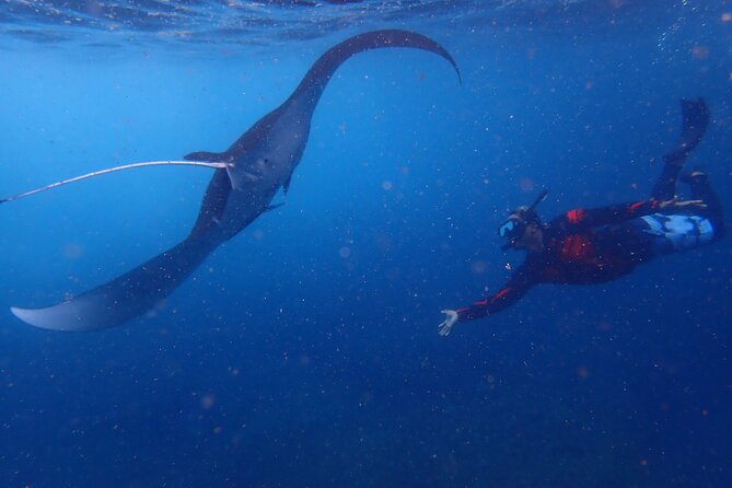 From Lembongan: Snorkeling Day Trip to Nusa Lembongan & nusa Penida island - Crystal Bay, Manta Bay, and Toya Pakeh