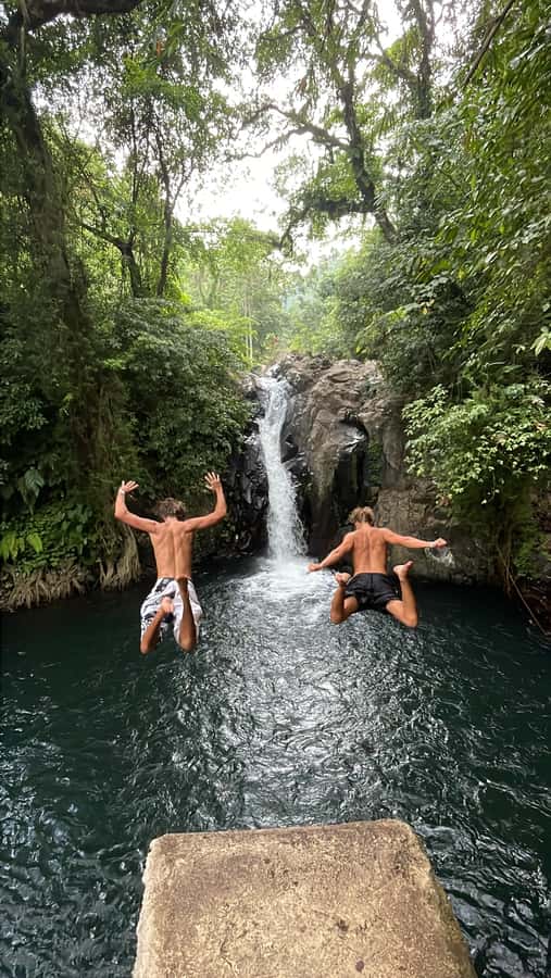 From North Bali: Aling Aling Waterfall and Blue Lagoon Tour - Cengana Rice Terrace sets the pace