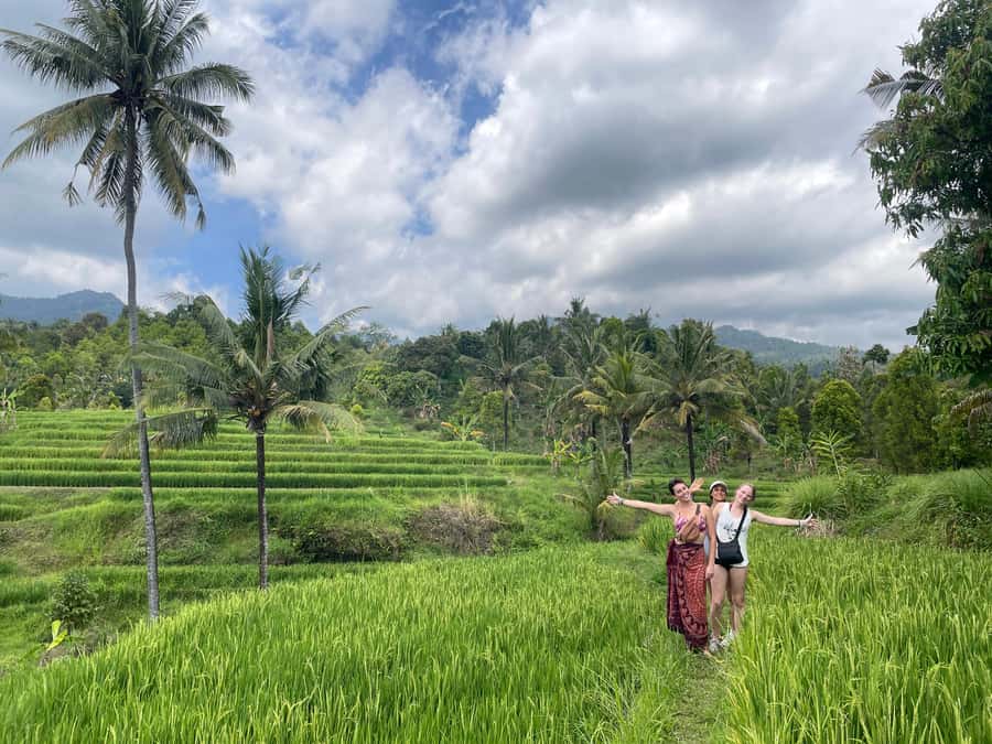 From North Bali: Aling Aling Waterfall and Blue Lagoon Tour - Who will enjoy this waterfall tour most