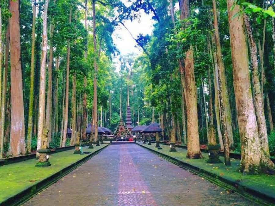From north bali :Tanah Lot, sangeh forest & Ulun Danu Temple - A very full day from hotel pickup to Tanah Lot