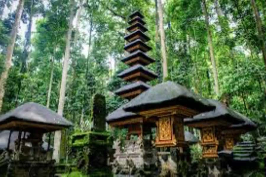 From north bali :Tanah Lot, sangeh forest & Ulun Danu Temple - Ulun Danu Beratan beside the lake
