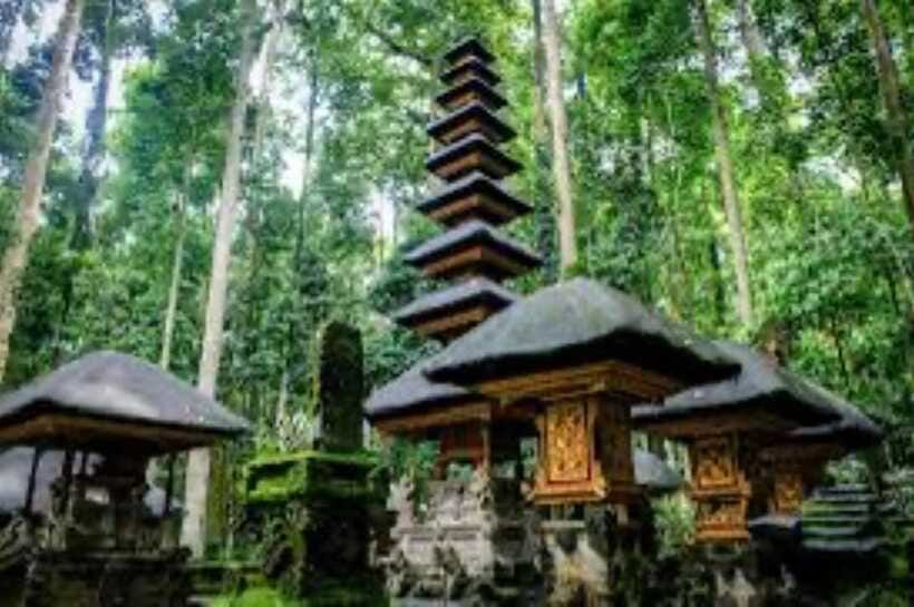 From north bali :Tanah Lot, sangeh forest & Ulun Danu Temple - Handara Gate and the limits of an Instagram stop