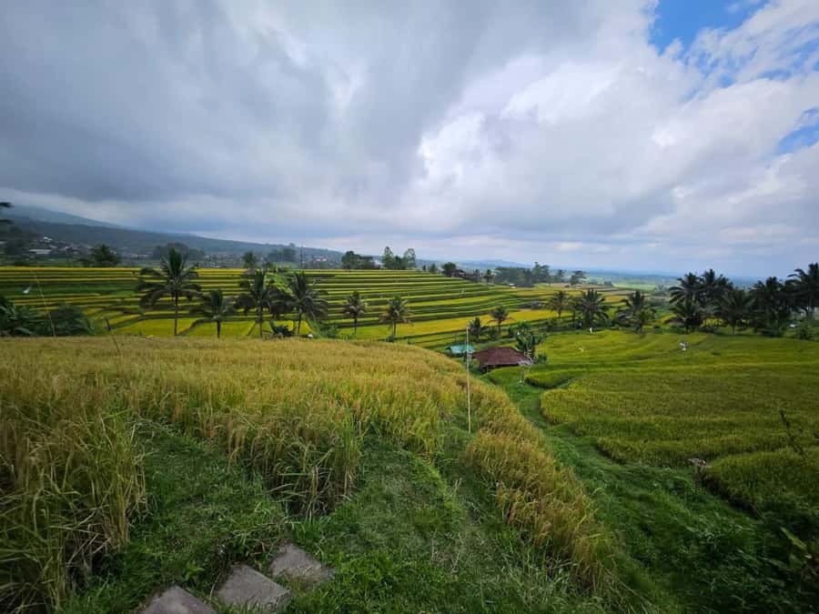 From north bali :Tanah Lot, sangeh forest & Ulun Danu Temple - Tanah Lot at sunset