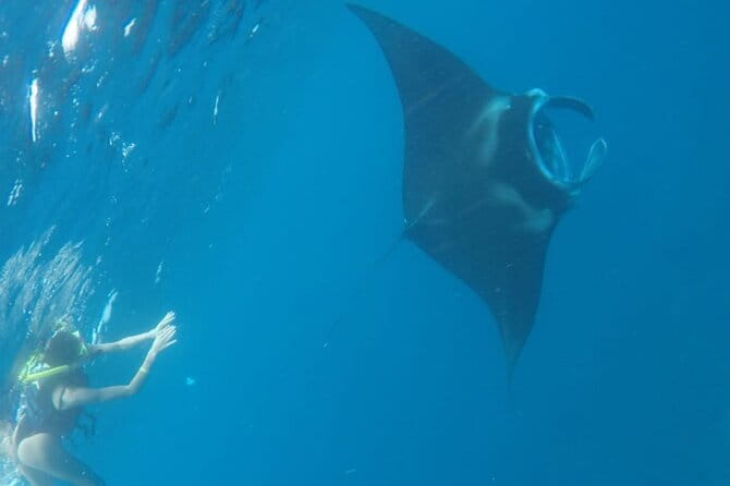 From Nusa Lembongan Manta Snorkeling Trips with Pickup Included - Key points before you book