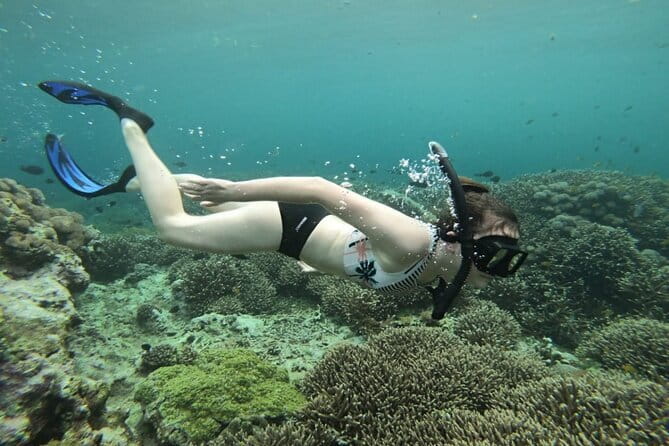 From Nusa Lembongan Manta Snorkeling Trips with Pickup Included - What to bring and how to prepare