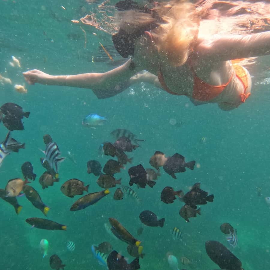 From Sanur : Snorkeling and Land Excursion at Nusa Penida - Key points to know before booking