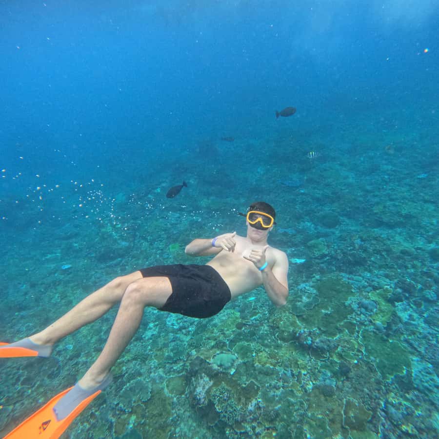 From Sanur : Snorkeling and Land Excursion at Nusa Penida - Manta Bay: the morning’s main gamble